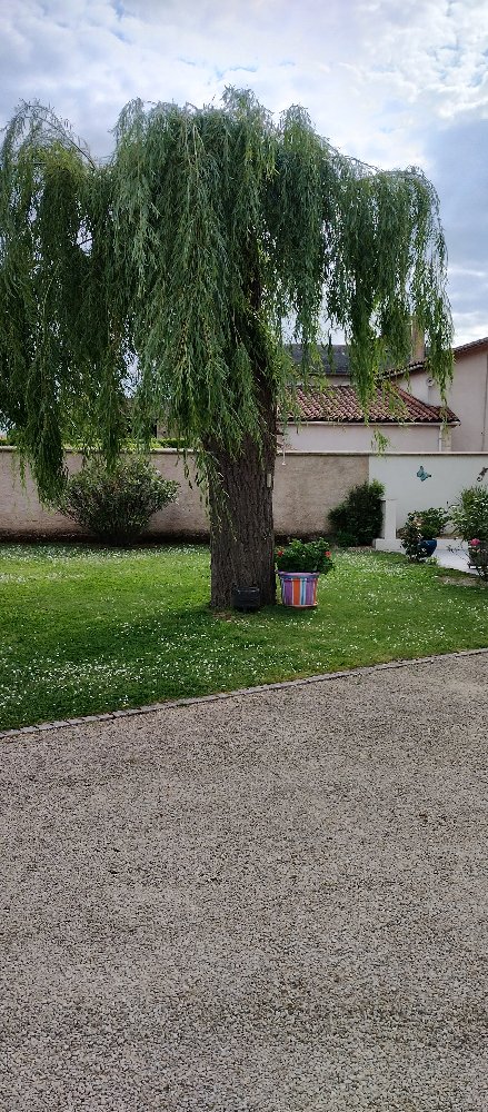 Aire camping-car  Thnezay (79390) - Photo 3